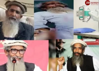 अमीर हमजा