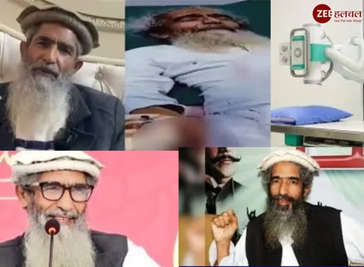 अमीर हमजा