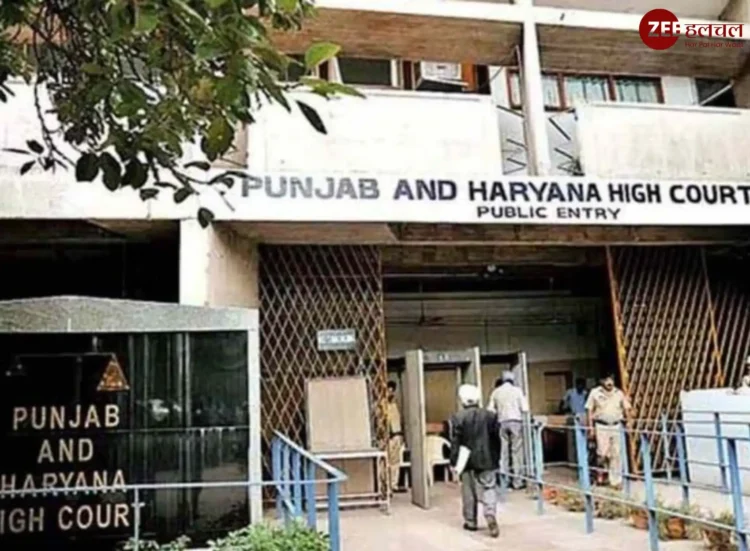 पंजाब-हरियाणा में रियल एस्टेट डेवलपर्स