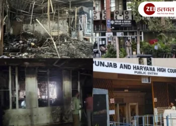 Punjab Haryana High Court Fire
