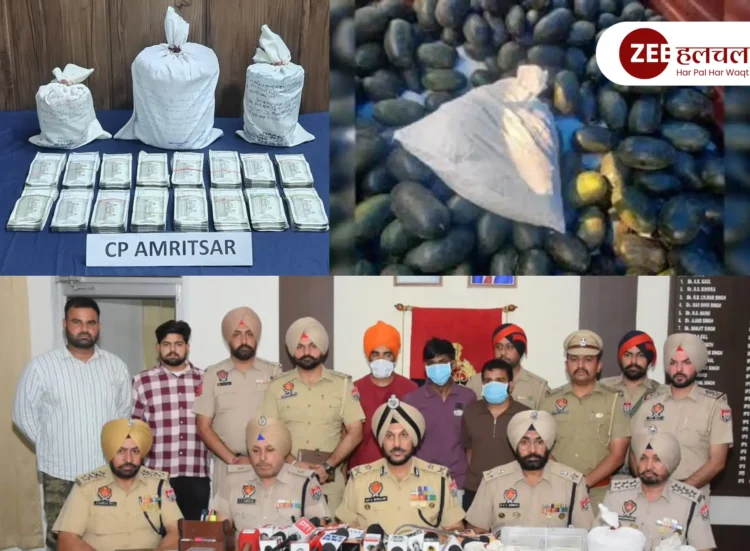 Drugs Bust Punjab