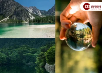 World Environment Day 2025