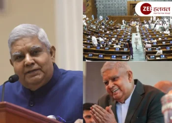 New Vice President 2025,