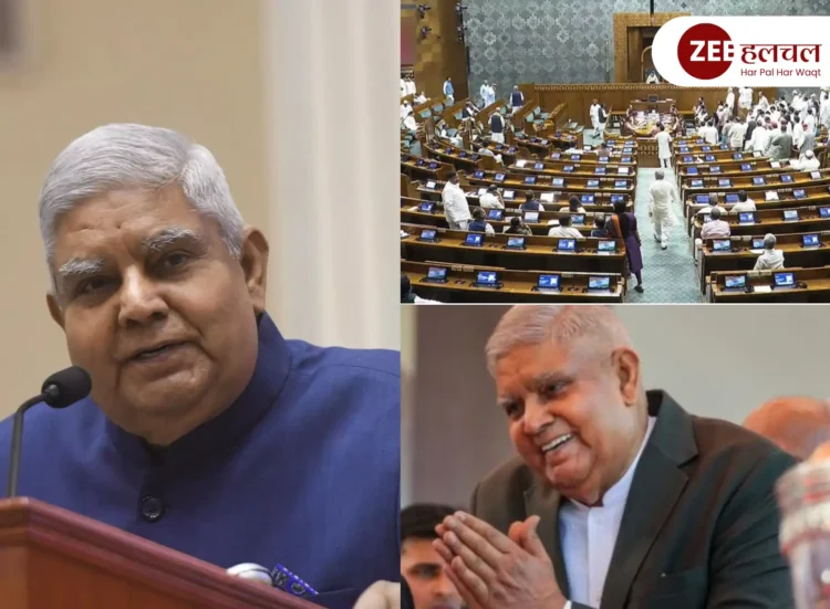 New Vice President 2025,