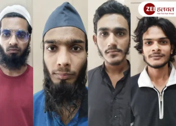 gujarat delhi and up