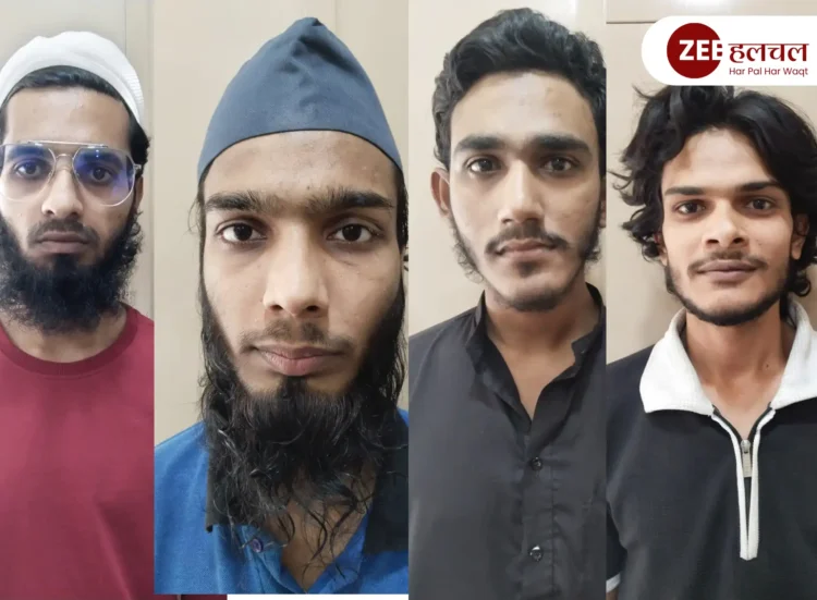 gujarat delhi and up