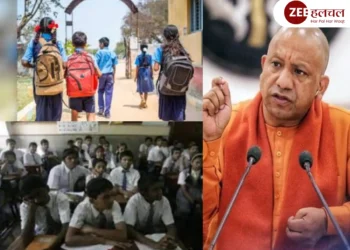 UP government survey 2025