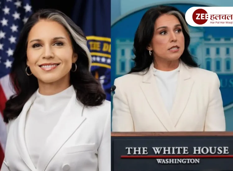 Tulsi Gabbard