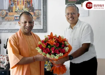 मुख्य सचिव