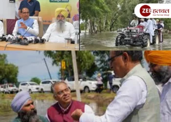 punjab