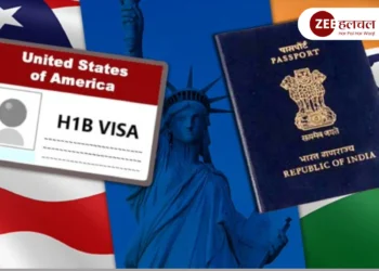 h1b visa