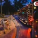 jungle safari