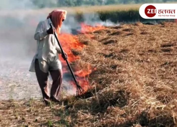 punjab