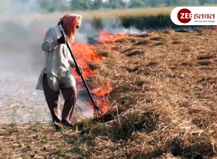 punjab