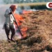 punjab