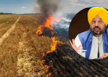 भगवंत मान दिल्ली के प्रदूषण पर बोलते हुए | No burning of stubble in Punjab
