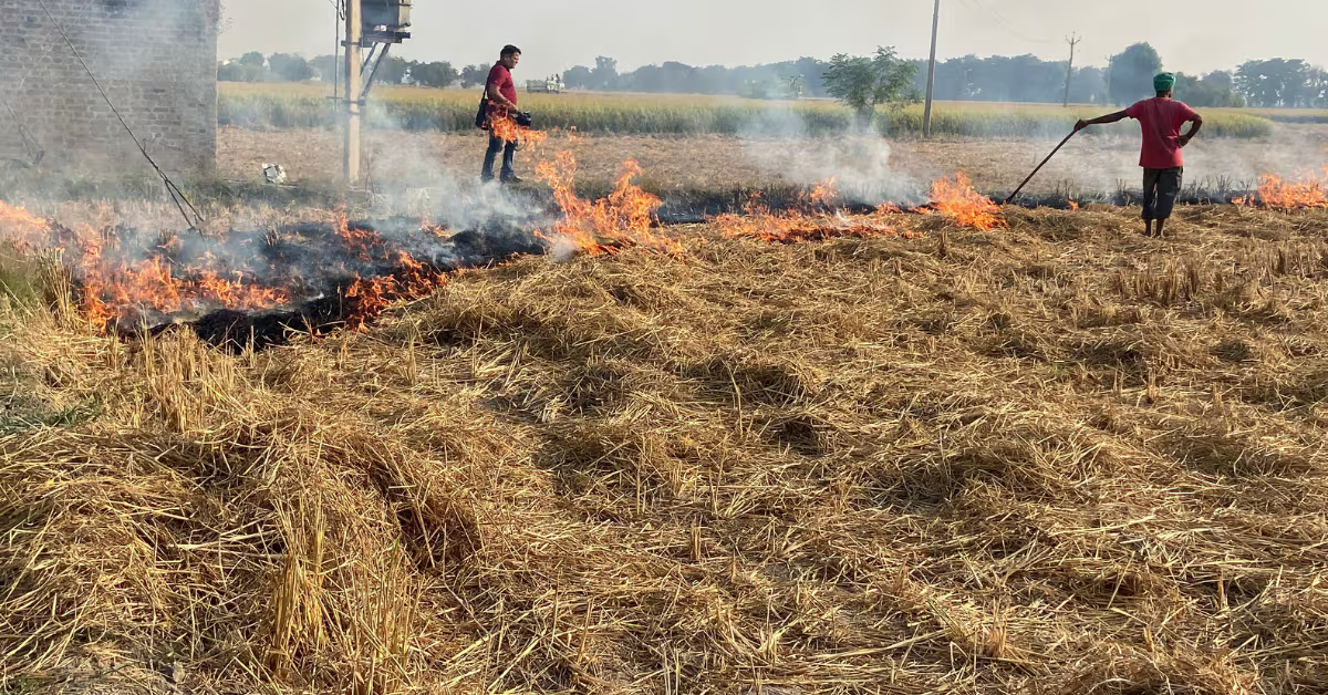 दिल्ली में स्मॉग और खराब वायु गुणवत्ता | No burning of stubble in Punjab