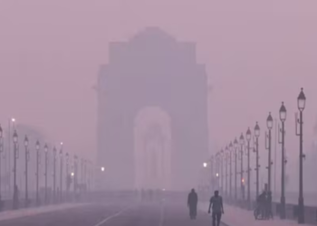 दिसंबर में दिल्ली का मौसम गर्म, साफ आसमान के साथ धूप और प्रदूषण की परत | temperature in delhi