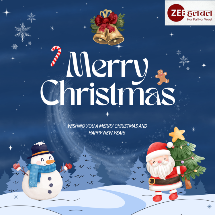 चमकती लाइट्स और ऑर्नामेंट्स से सजा क्रिसमस ट्री, Christmas 2025 उत्सव की झलक