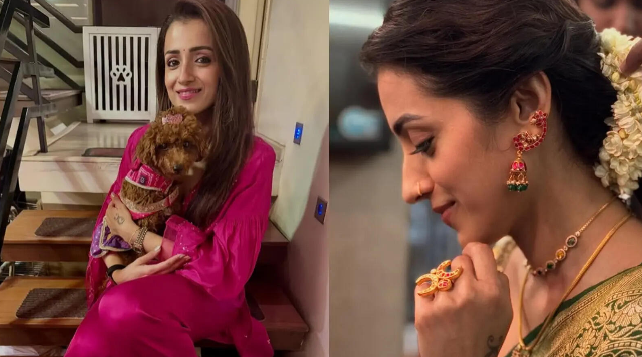 त्रिशा कृष्णन और थलपति विजय की पुरानी फिल्म से स्टिल, सोशल मीडिया पर ट्रेंडिंग Vijay Trisha अफवाहें | Thalapathy Vijay