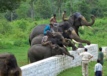 Dubare Elephant Camp का सुंदर नजारा (कावेरी नदी किनारा)