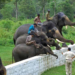 Dubare Elephant Camp का सुंदर नजारा (कावेरी नदी किनारा)
